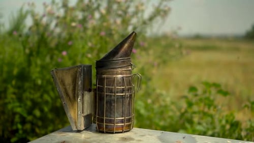 A Smoker to Neutralize Bees Stands on a Beehive in a Field