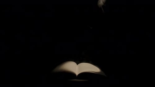 An Open Book Illuminated By a Beam of Light with Swirling Smoke on a Black Isolated Studio