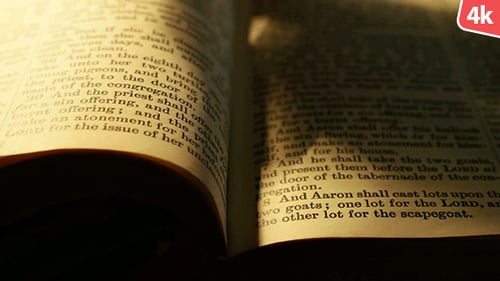 Open Bible with Antique Pages and Black Text