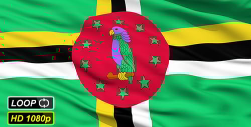 Realistic Waving Flag of Dominica Animation Loop