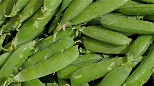 Green Fresh Peas on Display