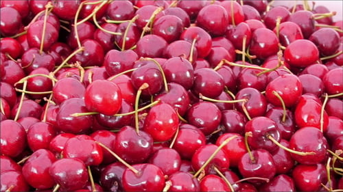 Lots of Red Cherries on the Basket