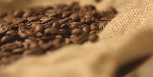 Beautiful Coffee Beans