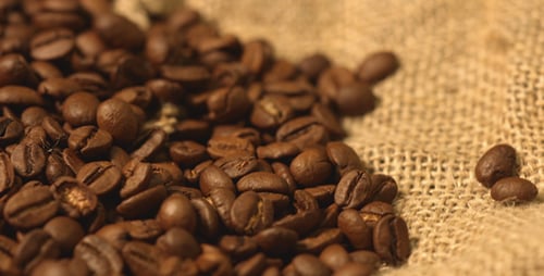 Coffee Beans 3