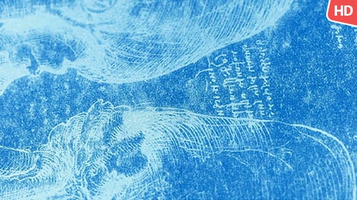 Anatomy Drawings 391