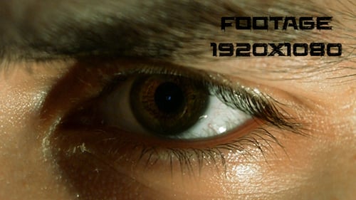 Extreme Close-up of a Human Eye