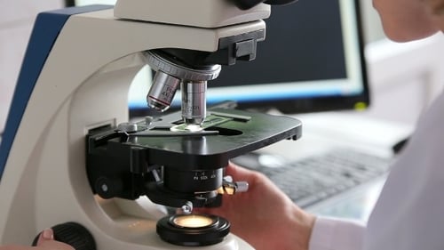 Microbiology Laboratory Work With Microscope