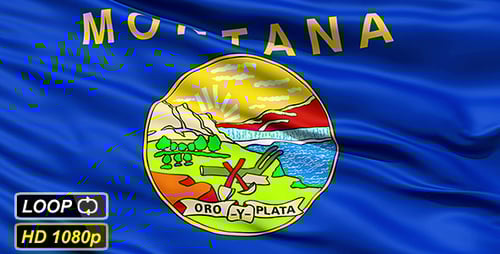Realistic Waving Montana State Flag Animation