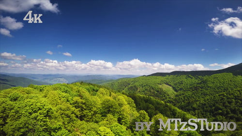 Aerial Green Forest