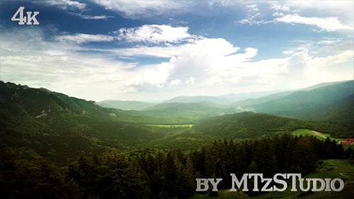 Forest in the Mountains