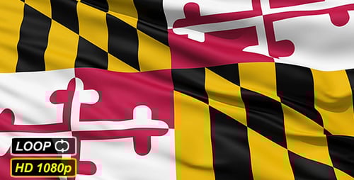 Realistic Waving Maryland State Flag Animation