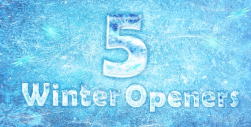 5 Aperturas Winter/Frost