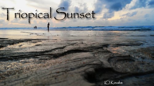 Tropical Beach