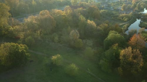 Park area. A winding river. Trees with yellow autumn leaves are visible. Aerial photography.