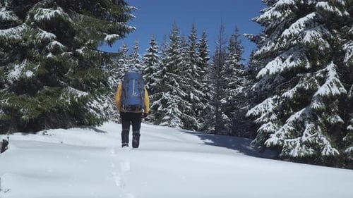 A Man with a Backpack Walks in the Winter Forest