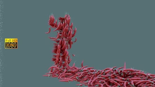 3d Chili Pepper Funny