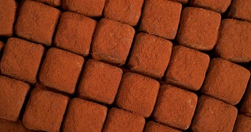 Delicious Chocolate Truffles Coated in Cocoa Powder