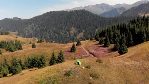 Green Camping Tent in the Mountain Forest