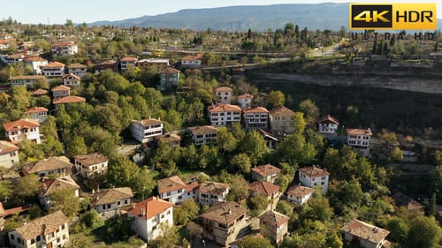 Red Roofed Houses Nestled Among Trees