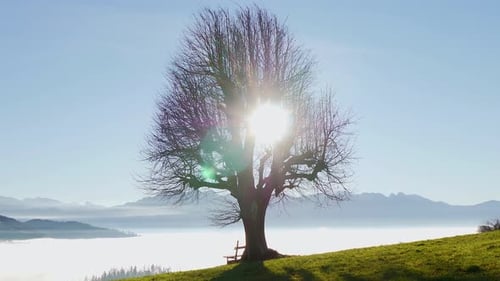 Timelapse of Mountain Landscape Scenery