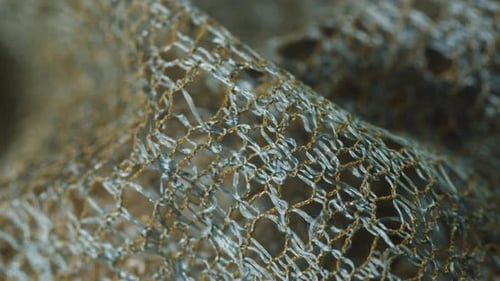 Lace White Fabric Closeup