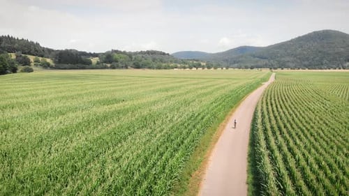 Young woman riding bike through green fields