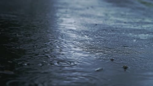Rain