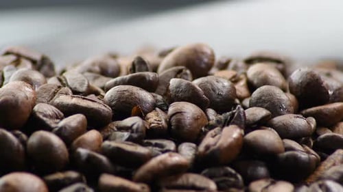 Roasted Coffee Beans Filling Frame in Macro Shot