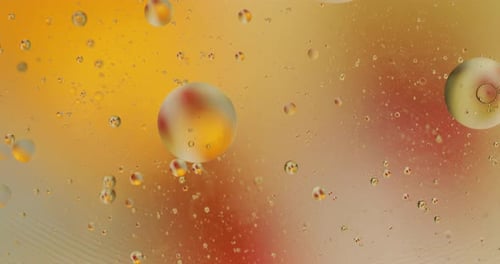 Fantastic Structure of Colorful Bubbles. Chaotic Motion. Abstract Background