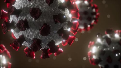 Coronavirus COVID-19 Medical Model