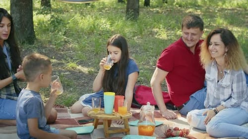 Happy Company Mom Dad Son Daughter and Their Friends are Having a Picnic in the Forest Area