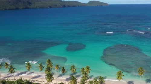 4k 24fps A Sunny Day In The Caribbean Beach With Palmstree And The Waves 1