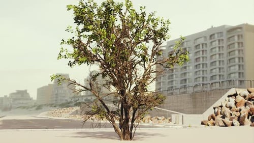 Empty Beach Car Park Spaces Covered in Asphalt