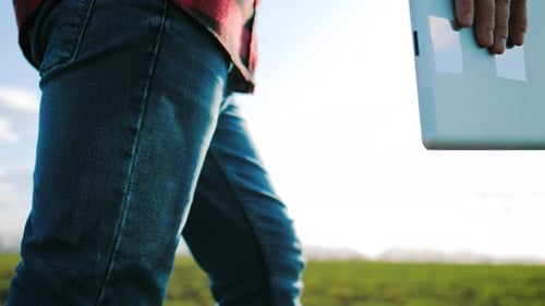 Farmer Walking Across Green Field Holding Tablet