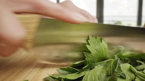 Zoom out macro video of hand cutting lettuce. Shot with RED helium camera in 8K