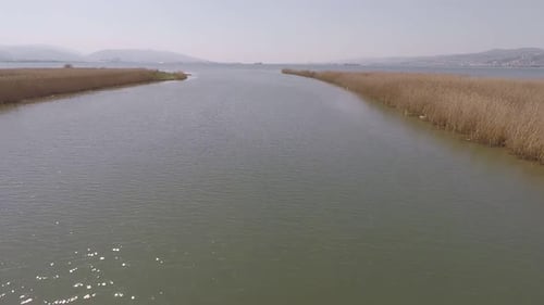 Aerial River and Reeds