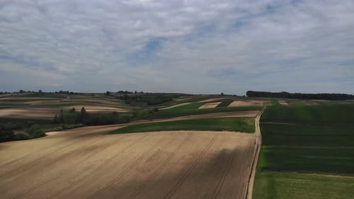 Aerial View of Farmland Crop Cultivation