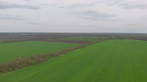 Landscape Green Field