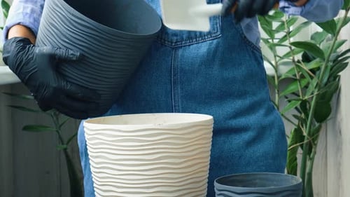Woman Transplants Plants Indoors at Home