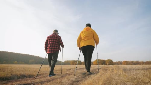 Mature Couple Nordic Walking on Pathway in the Meadow