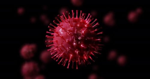 3D Rendering of Red Virus Cell Rotating