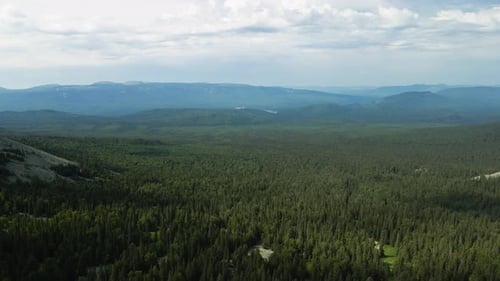 A view from a height of a large green forest and hills
