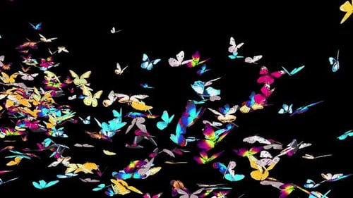06 Schmetterling HD