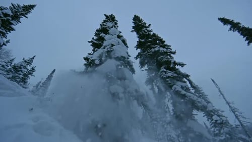 Skier Jumps Off Hill in Winter Forest