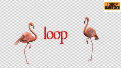Flamingo Idle Pack