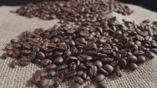 Arabica Coffee Beans on Linen Fabric. Sinking Over Coffee Beans Lying on a Coarse Linen Cloth