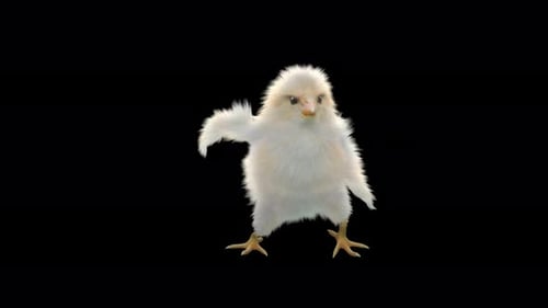 Cute Baby Chick Dancing on Transparent Background