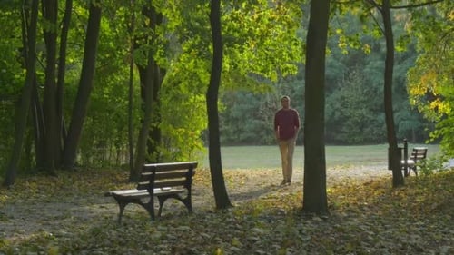 Man is Standing at The Park Alley