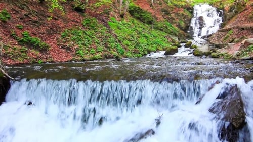 Scenic Waterfall Flowing Through Lush Green Forest