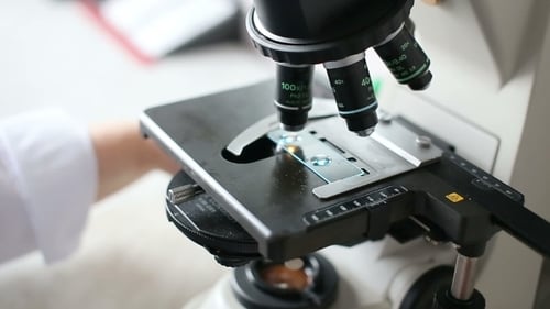 Laboratoire de microbiologie, travail avec microscope